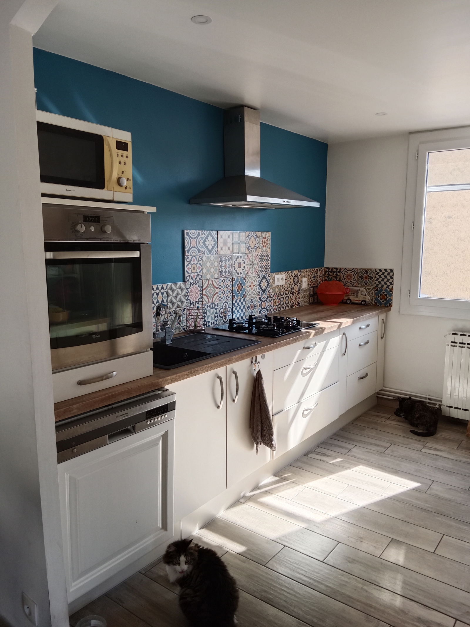 Colocation Morières-lès-Avignon 258450