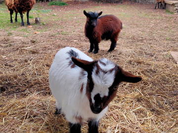 Logement Entier La Couture-Boussey 10372-8