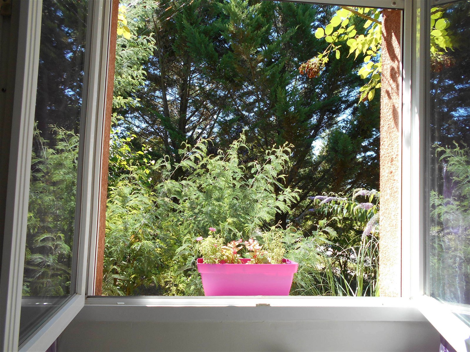 Chambre Chez L'habitant Auterive 141661