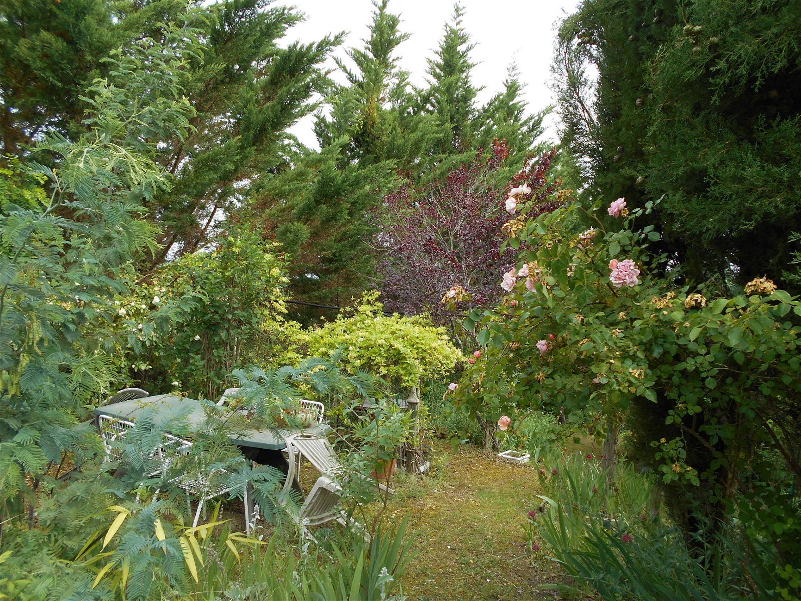 Chambre Chez L'habitant Auterive 141661