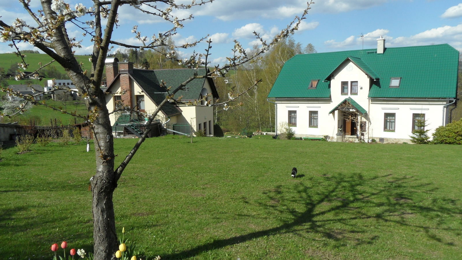 Bed And Breakfast Držkov 126789