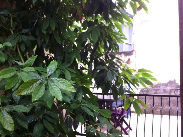 Gastgezin Bordeaux 153689-4