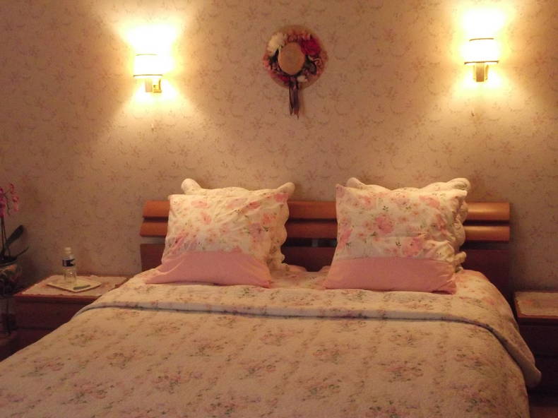 Chambre Chez L'habitant Tours 131410-4