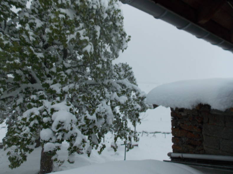 Gastgezin Saint-Front 222673-2