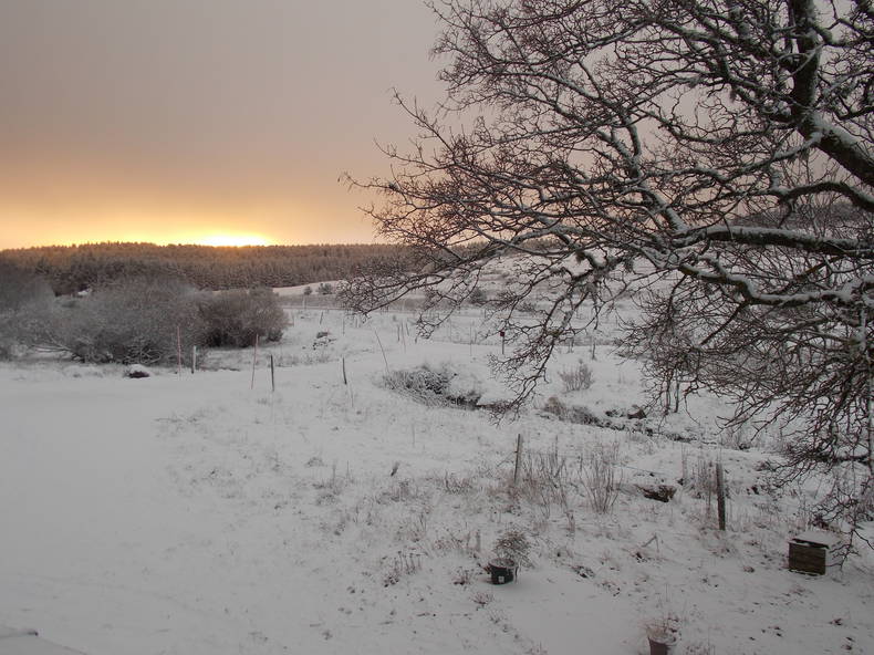 Gastgezin Saint-Front 222673-3