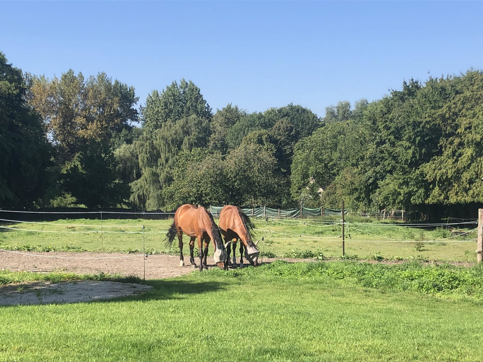 Toda La Casa Pont-à-Celles 643990