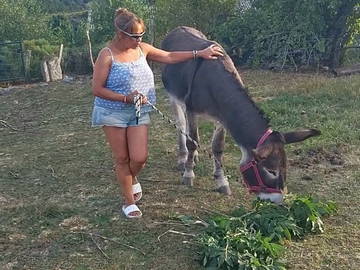 Chambre Chez L'habitant Monts-De-Randon 250398-1