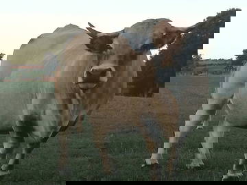 Tuisverblyf Monts-De-Randon 250398-28