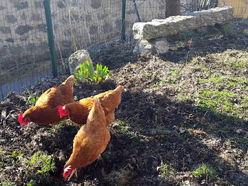 Tuisverblyf Monts-De-Randon 250398-13