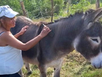 Chambre chez l'habitant à louer à Monts-De-Randon - photo 1 : autre pièce-1