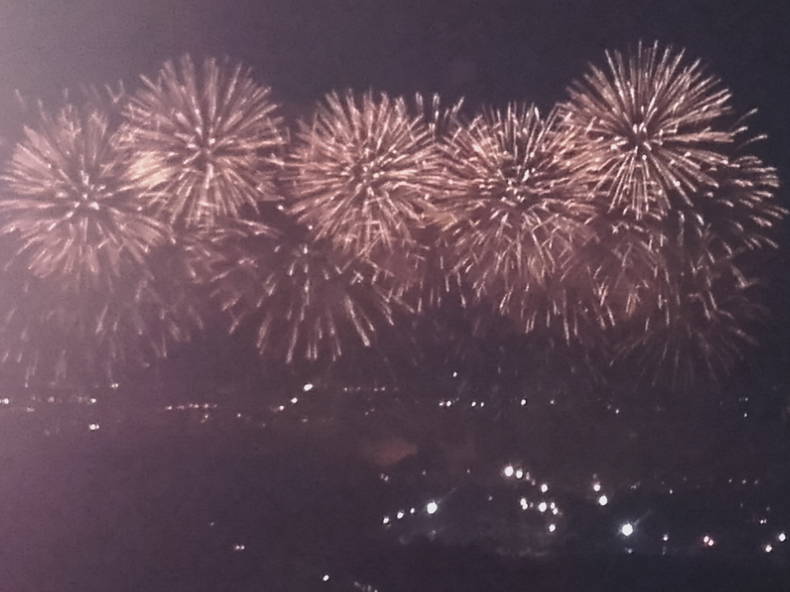 Gastenkamers Carcassonne 176353-3