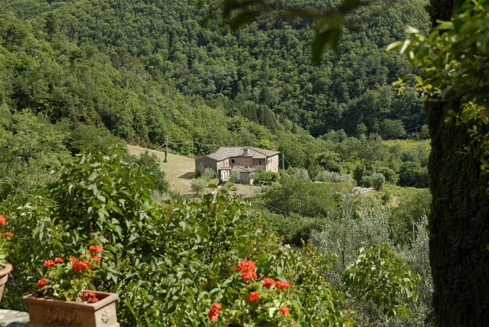 Oberoende Studio Casole 174621