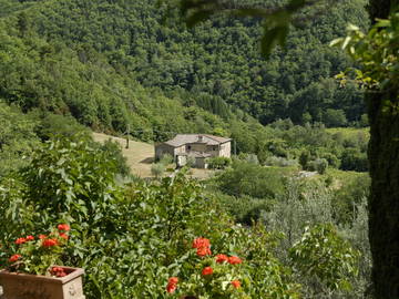 Entire Home Casole 174621-8