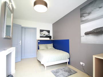 Chambre À Louer Nancy 244363