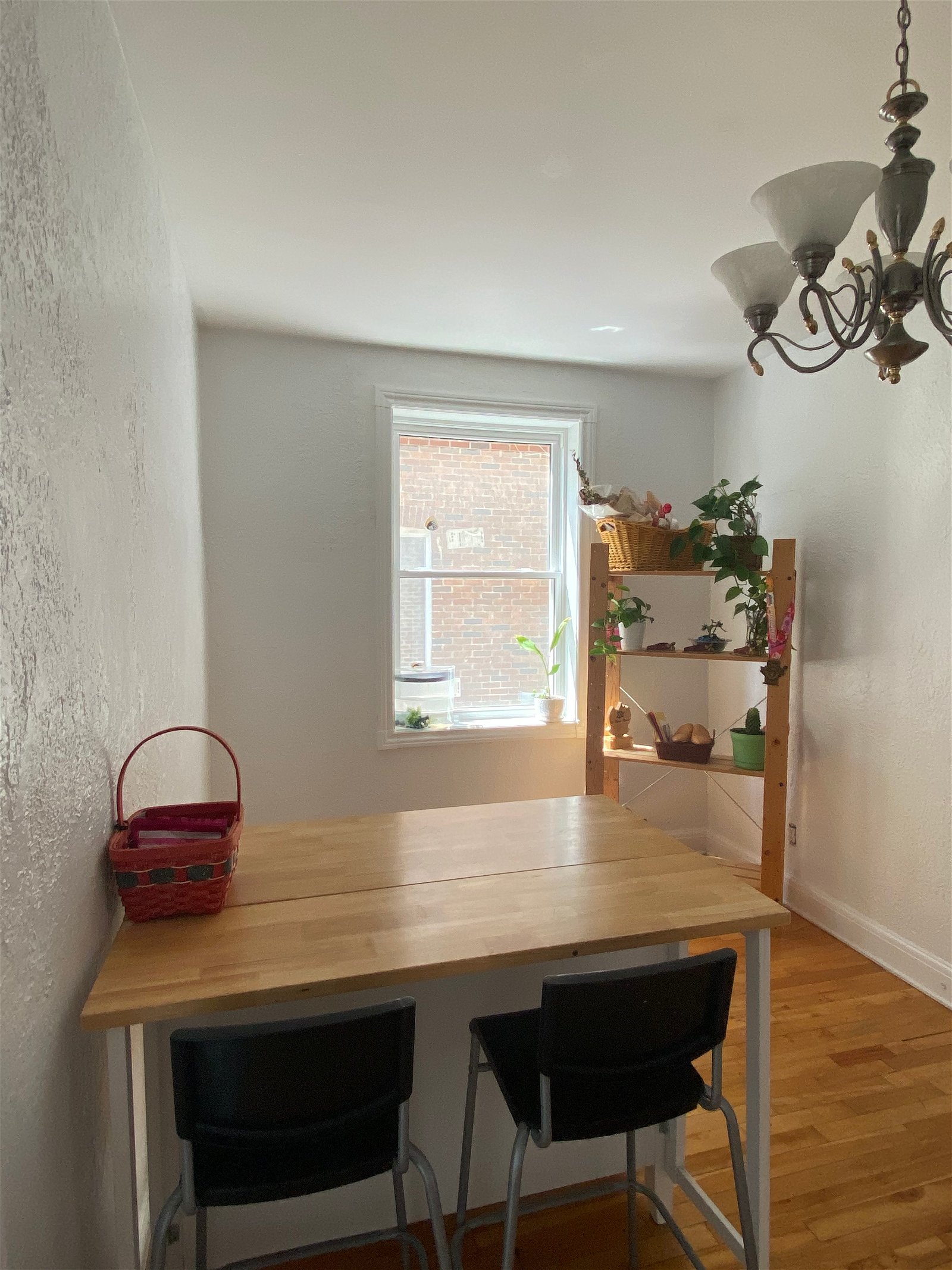 Homestay Montréal 260360