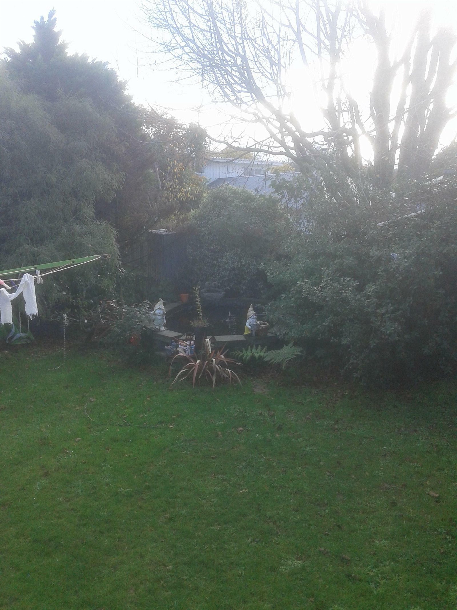 Gastfamilie Upper Hutt 167666