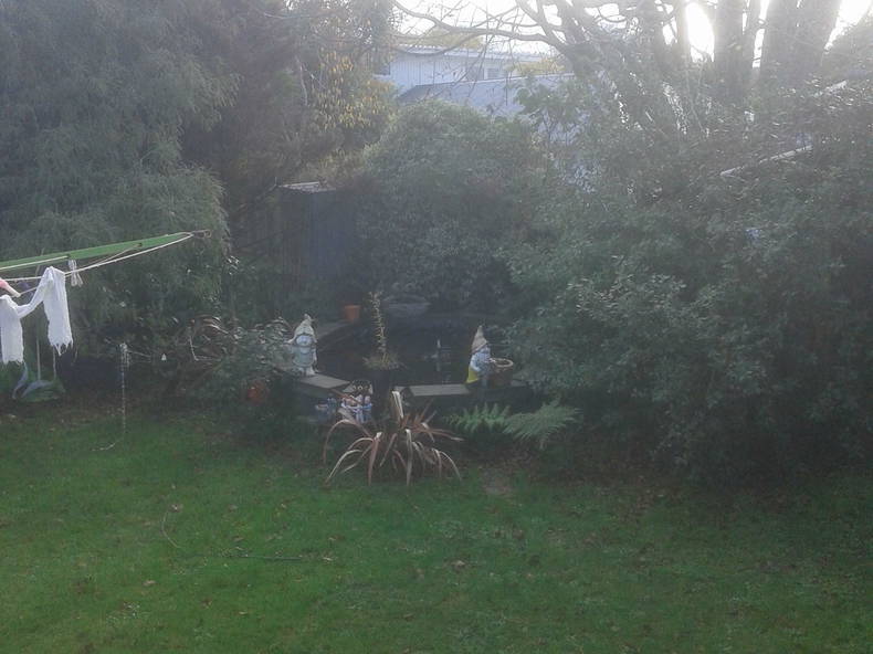 Homestay Upper Hutt 167666-4