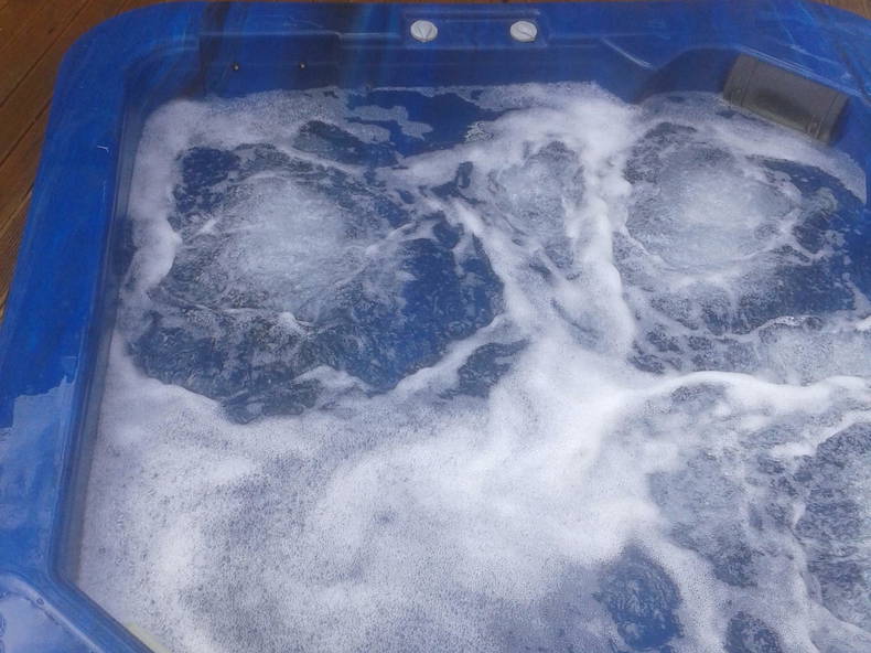 Homestay Upper Hutt 167666-5