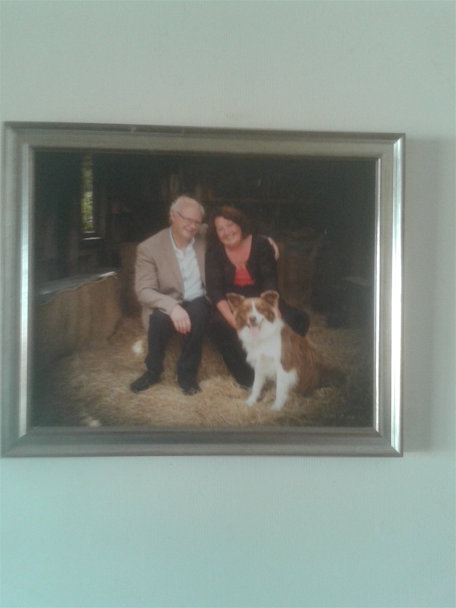 Gastfamilie Upper Hutt 167666