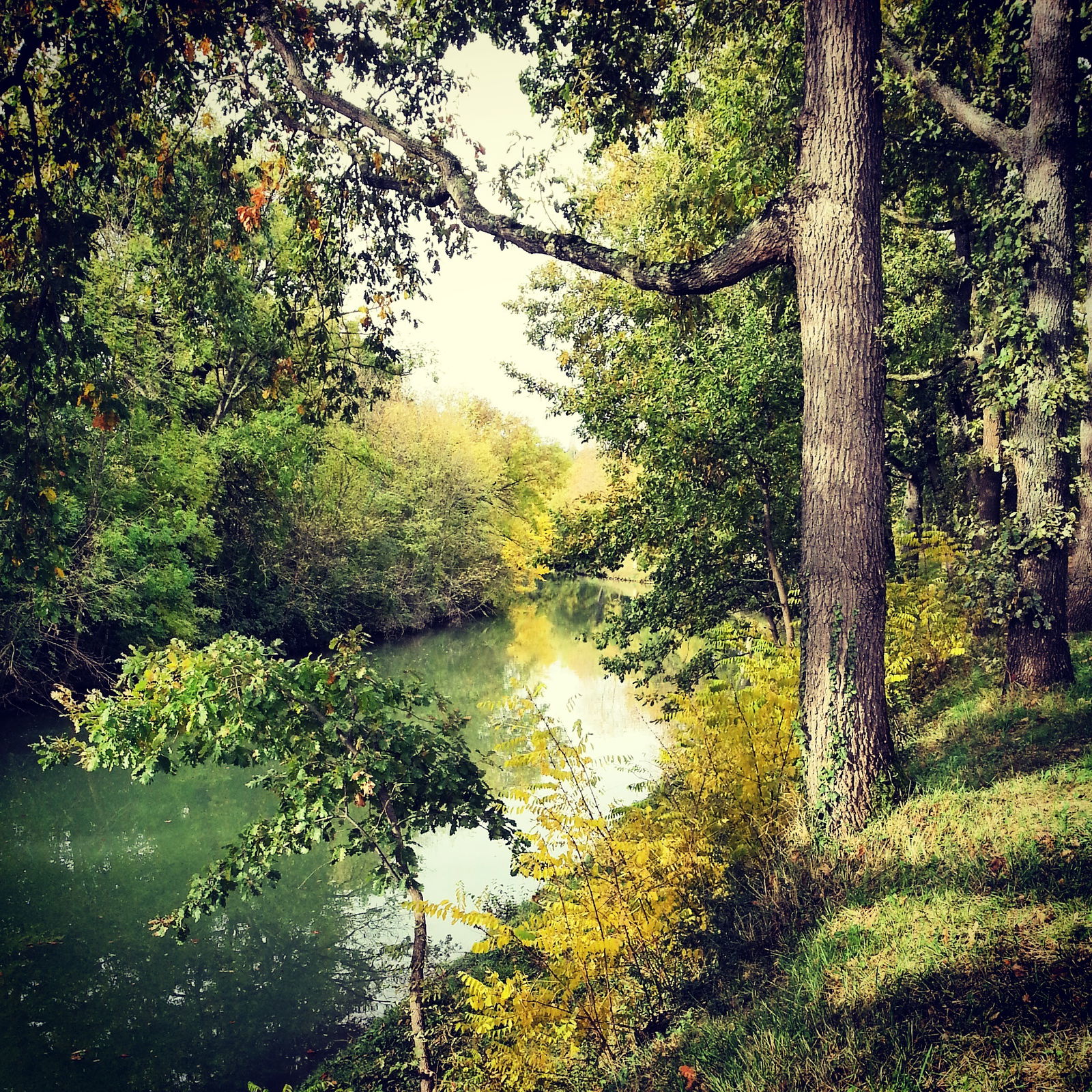 Pokoje Gościnne Gardouch 170274