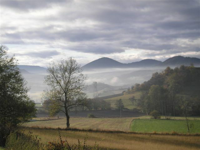 Niezależne Studio Champis 254482