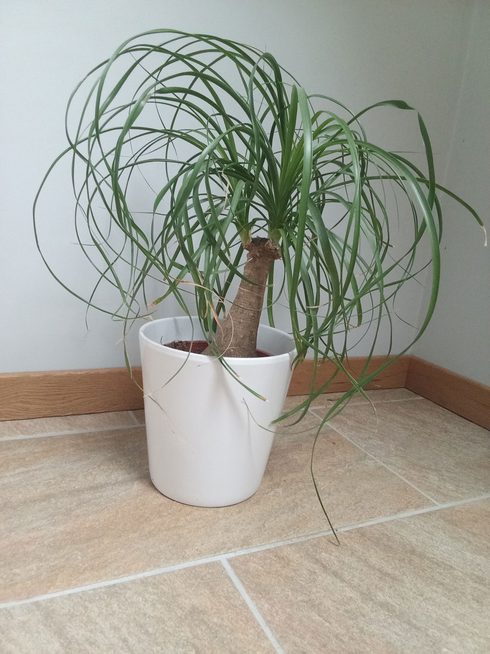 Pokoje Gościnne Beaussais-sur-Mer 478987