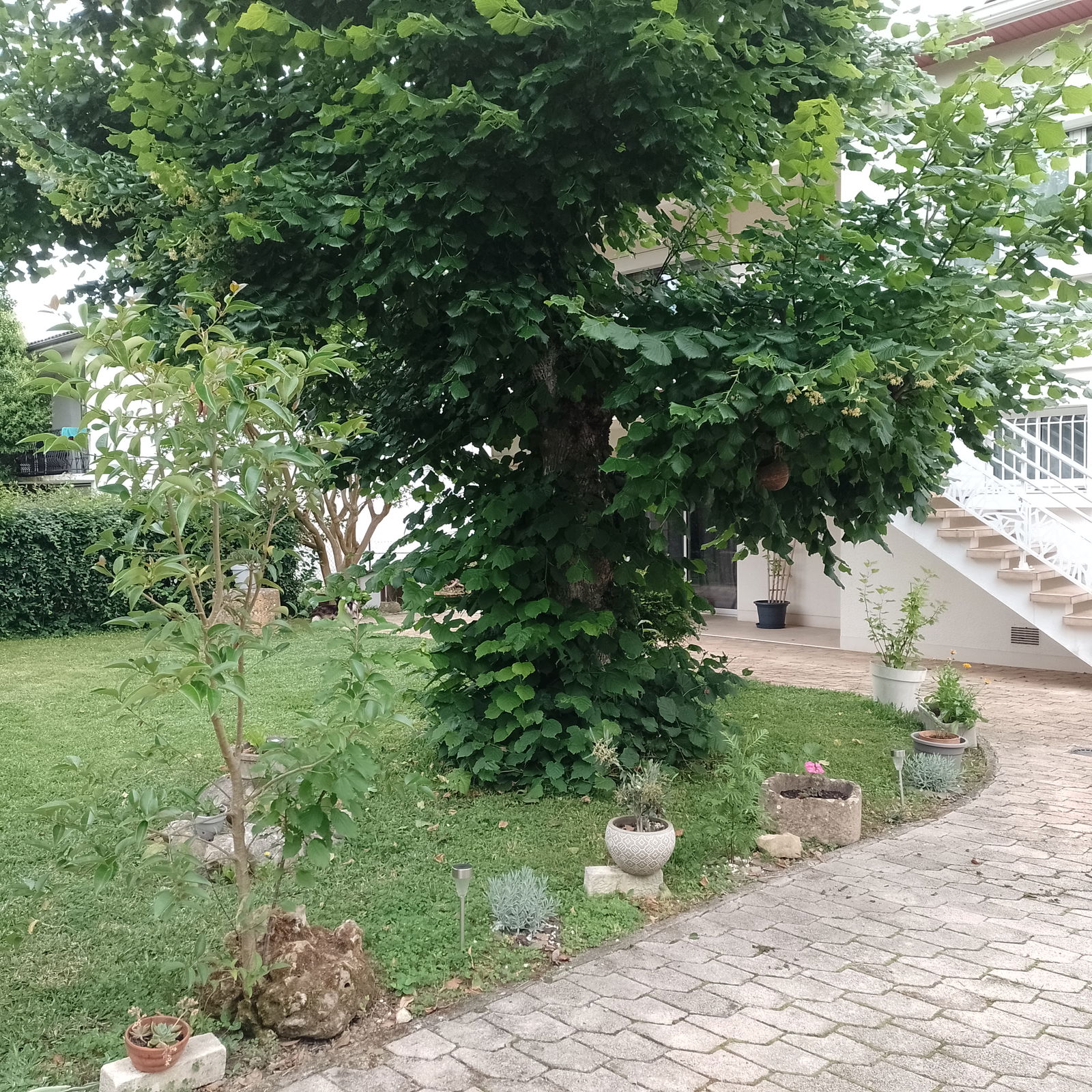 Zakwaterowanie U Rodziny Auch 553760