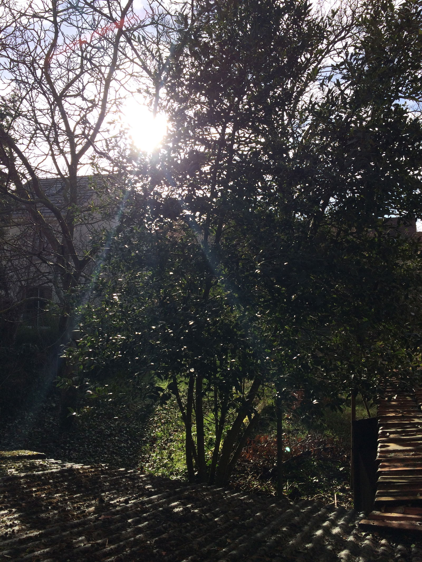 Kolokacja Nanterre 250803