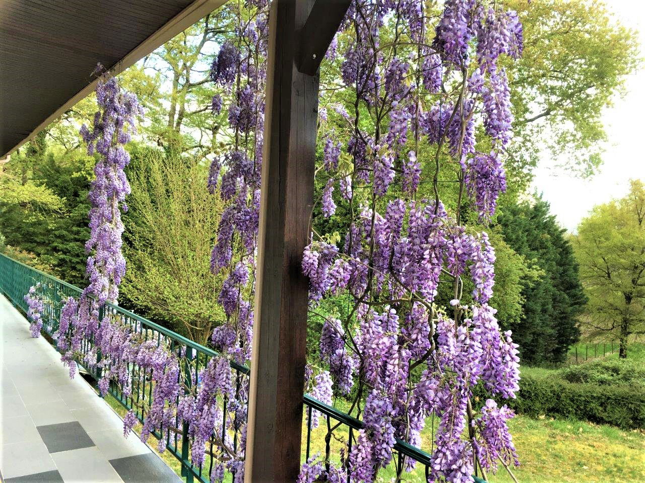 Zakwaterowanie U Rodziny Sallebœuf 438053