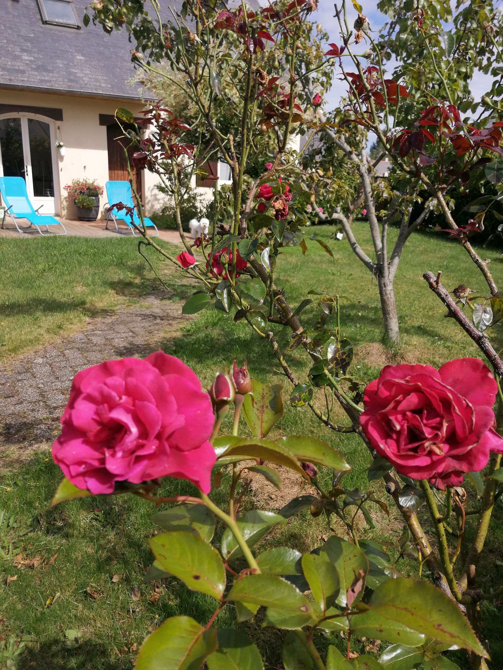 Zakwaterowanie U Rodziny Yffiniac 409310