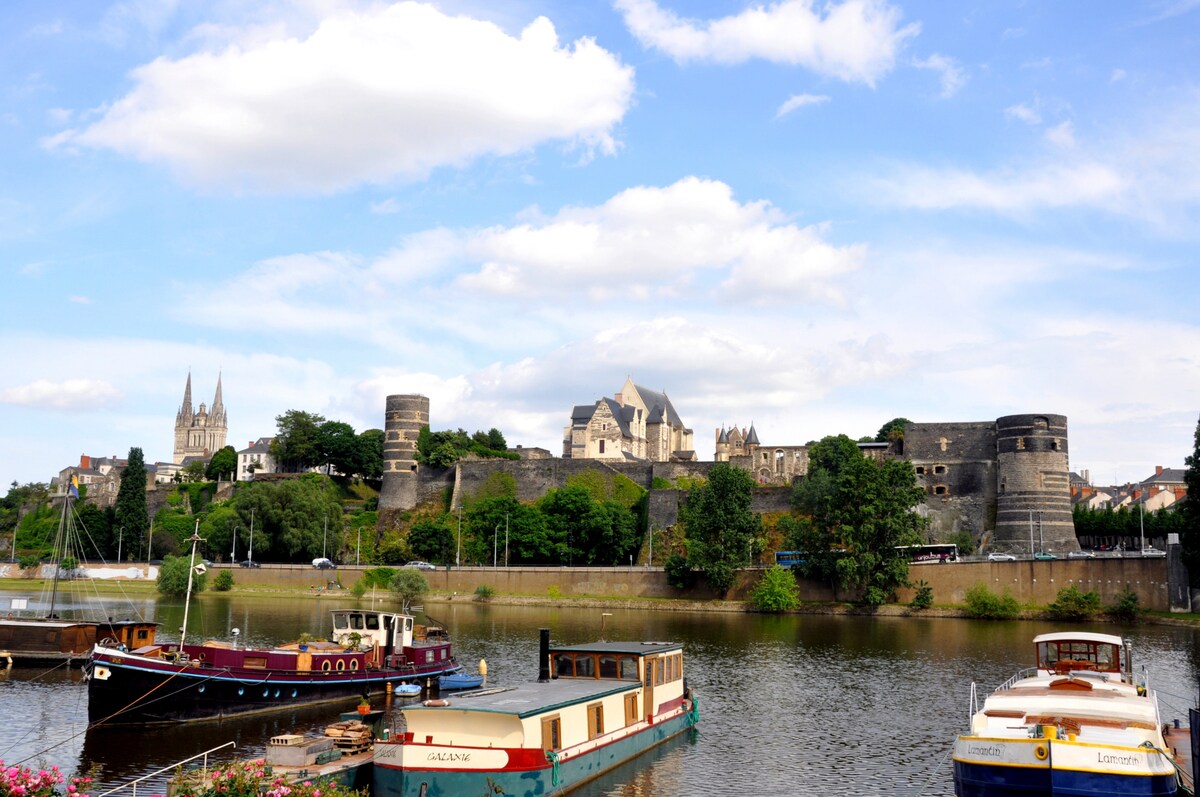 Cały Dom Angers 663230