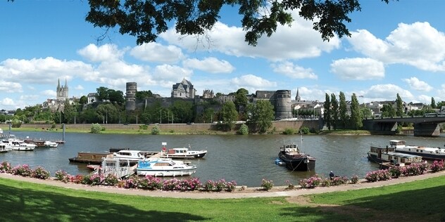 Cały Dom Angers 663230