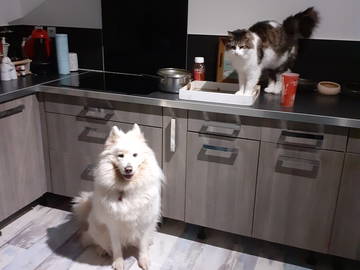 Chambre Chez L'habitant La Queue-En-Brie 350513-6