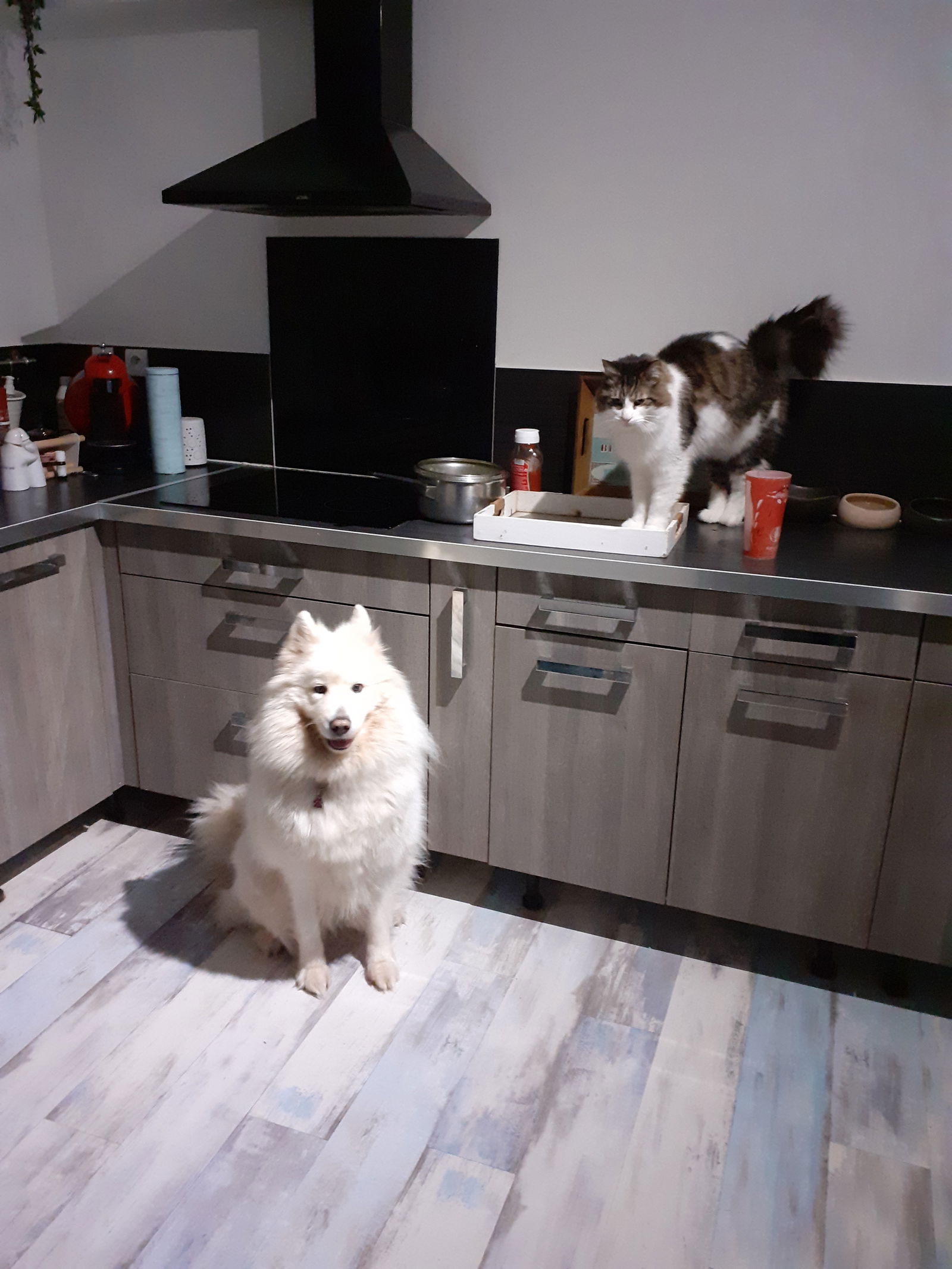 Gastfamilie La Queue-en-Brie 350513