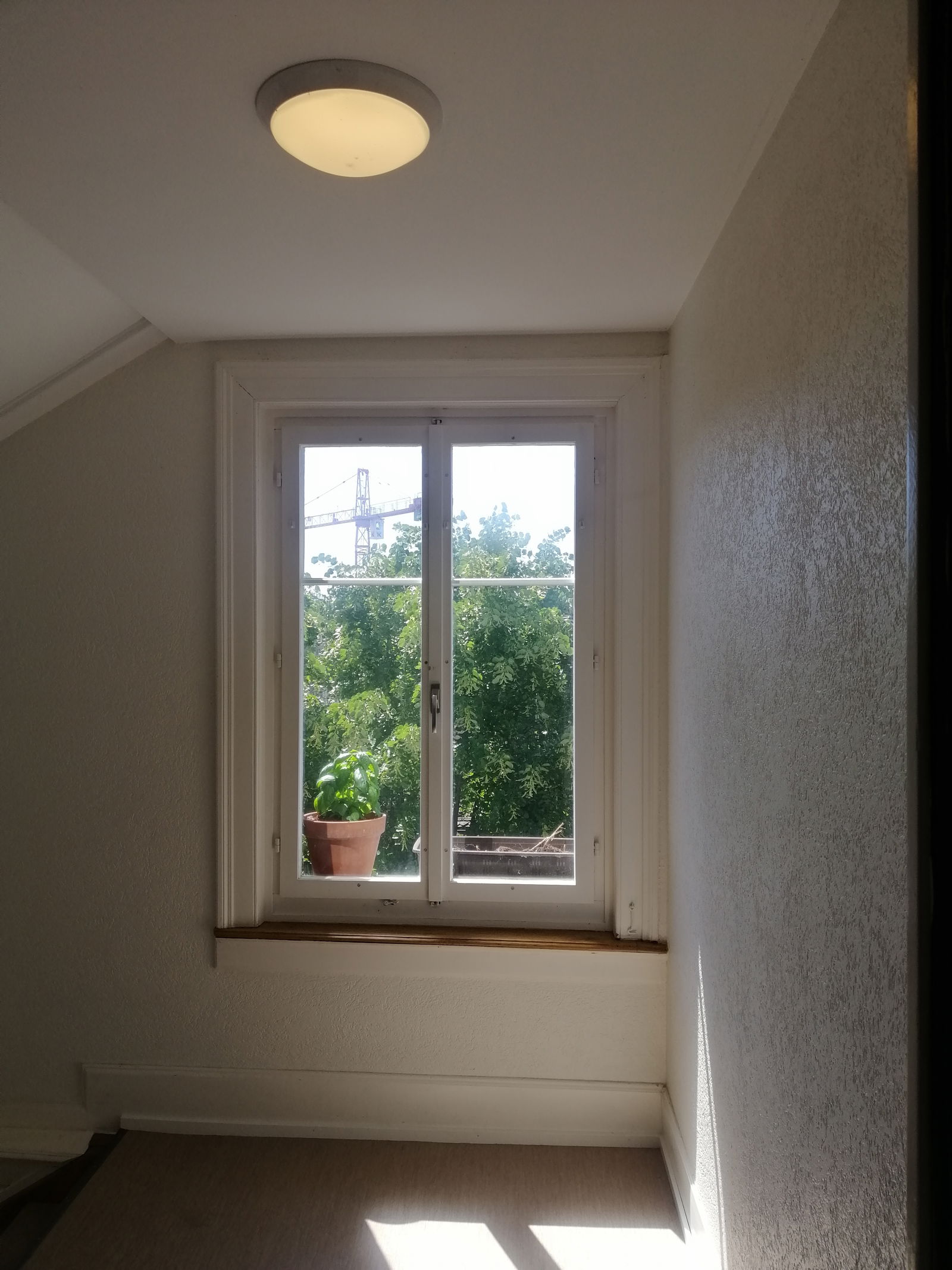 Quedarse En Casa Zürich 253838