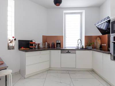 Kolokasie Marseille 640035-3