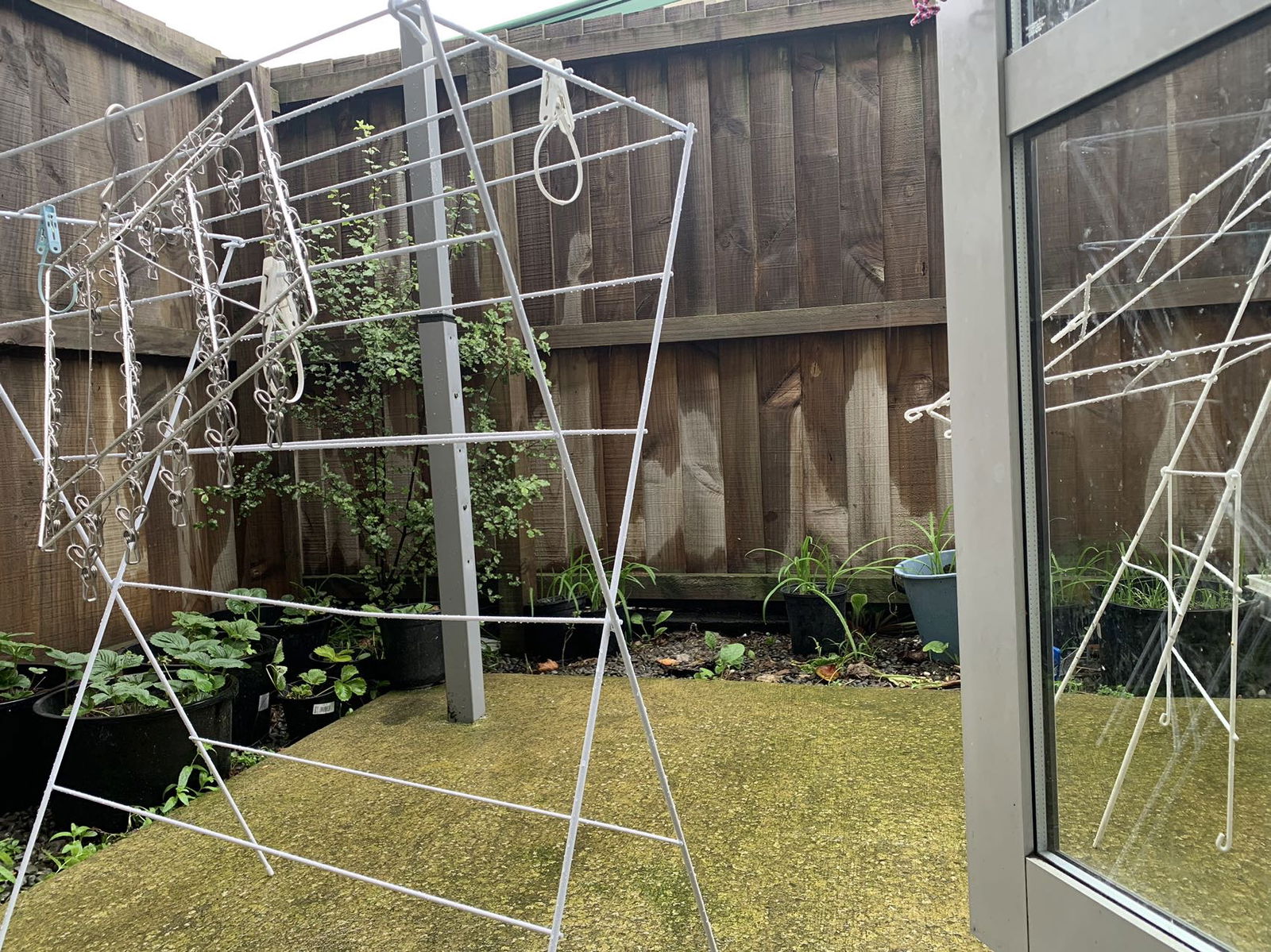 Homestay Christchurch 266549