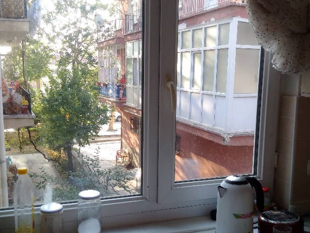 Gastfamilie Ankara 183176-3