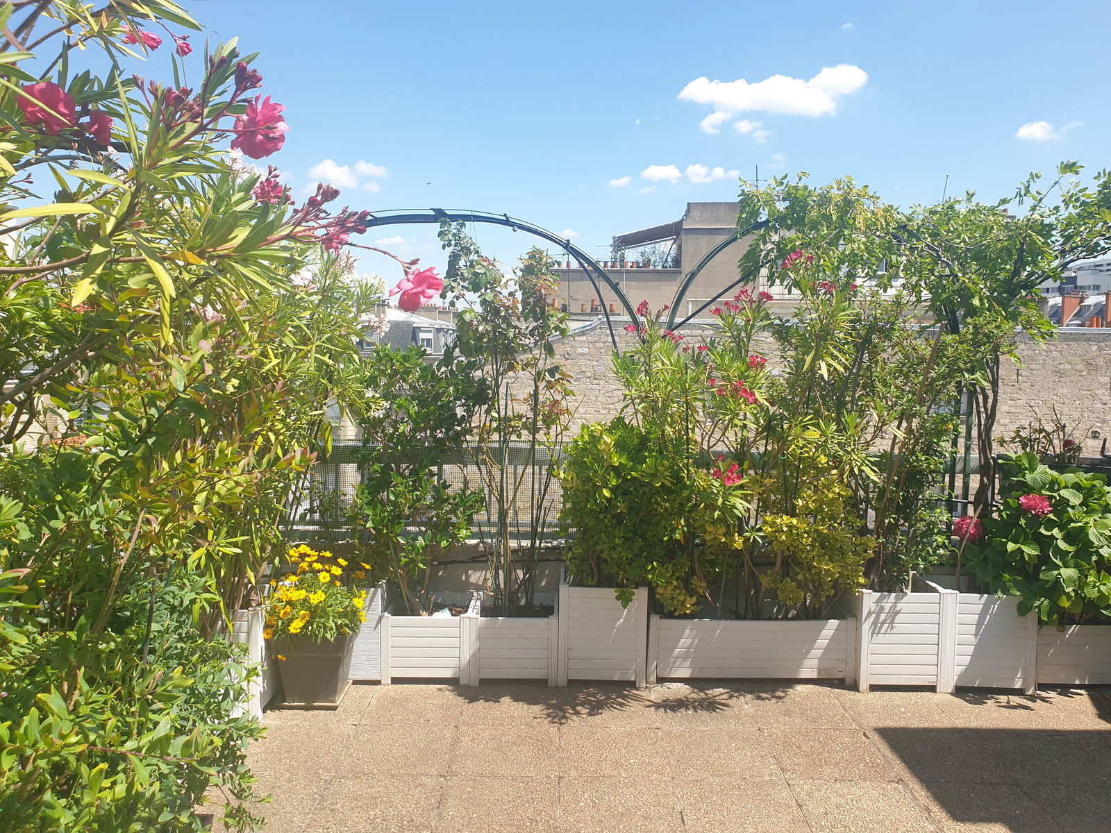 Homestay Paris 465617