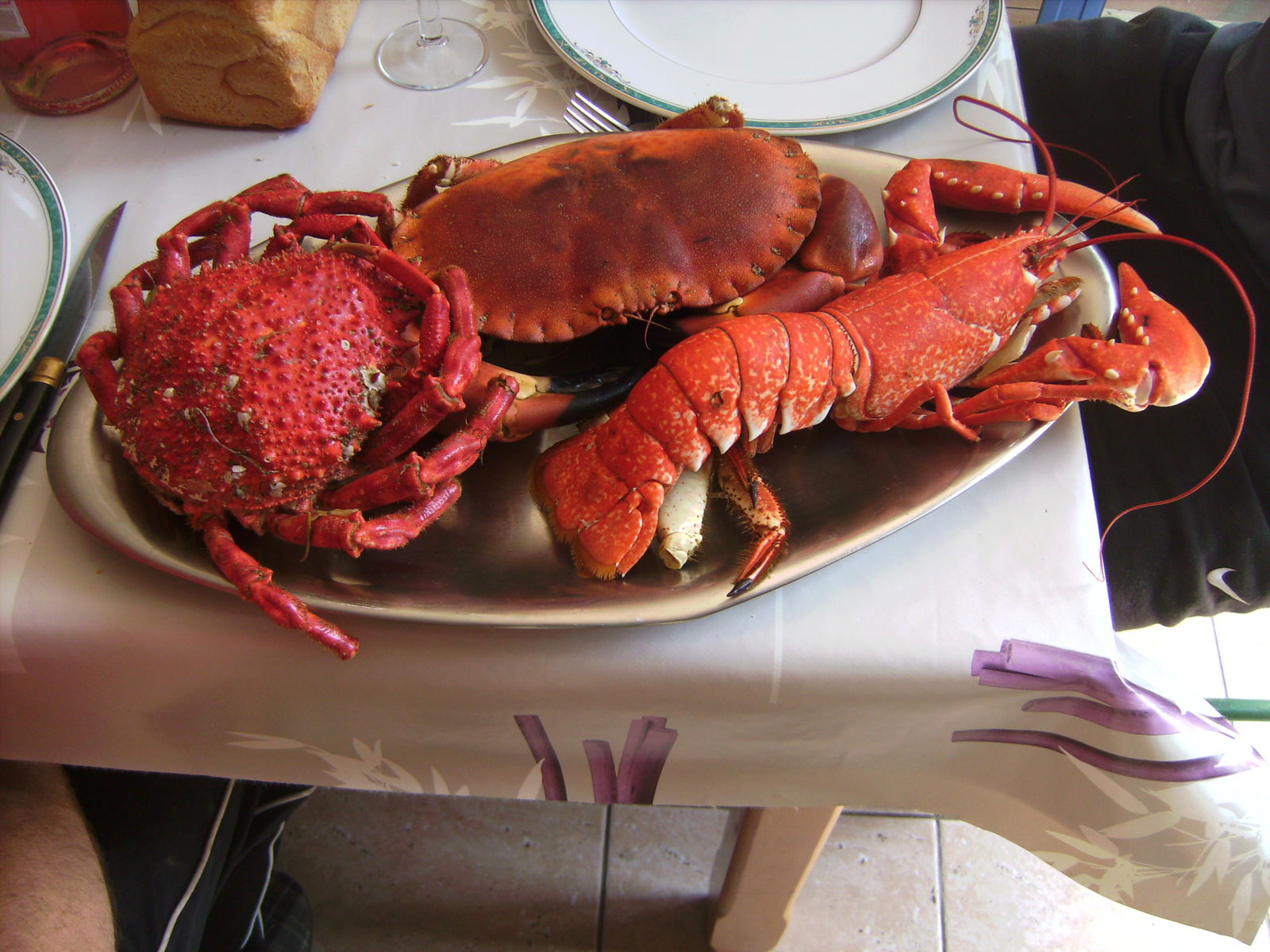 Estudio Independiente Plounéour-Brignogan-plages 50341