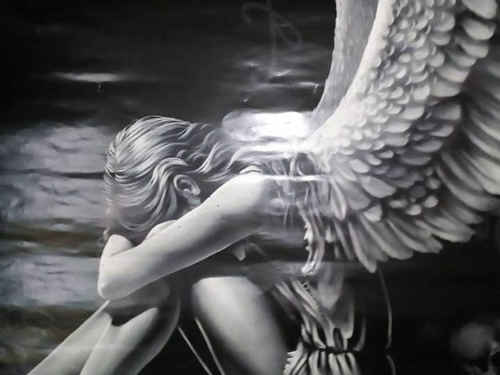 Gastfamilie New Plymouth 204236-1