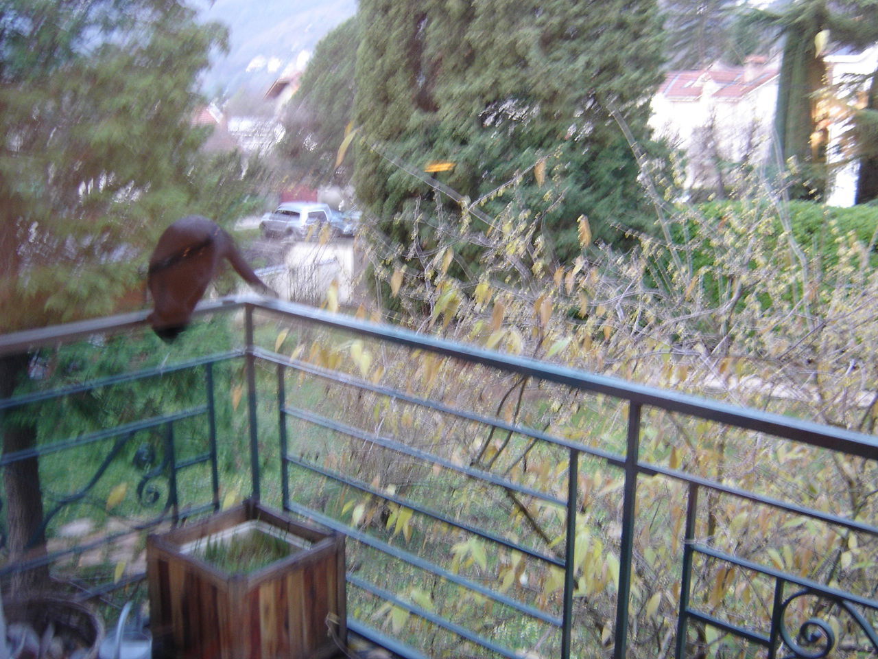 Homestay La Tronche 115577