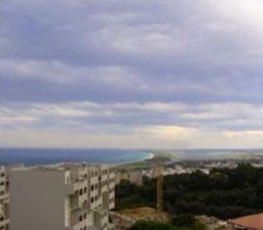 Colocación Bastia 107815