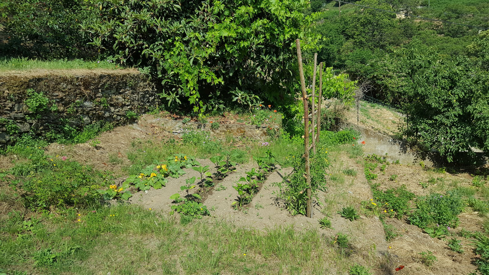 Chambre Chez L'habitant Porri 181637