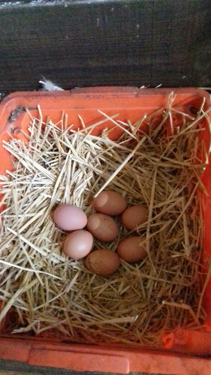 Chambre Chez L'habitant Porri 181637