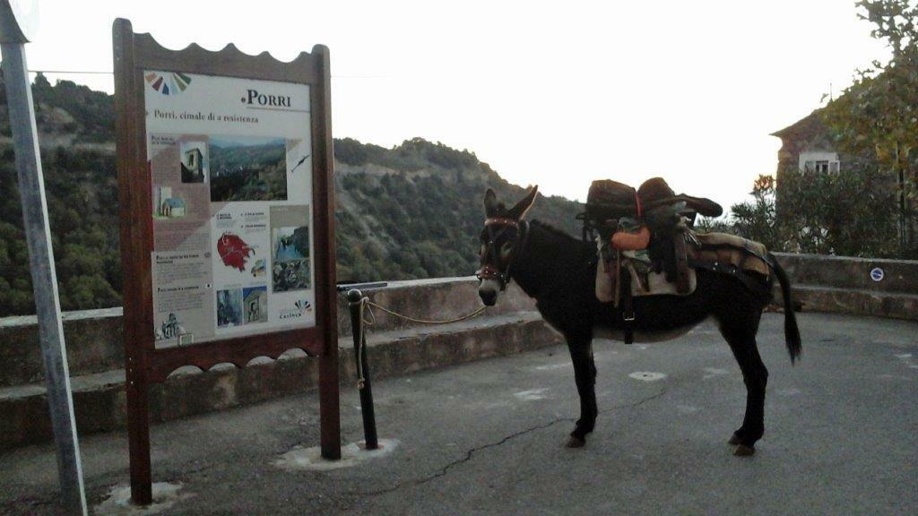 Famiglia Porri 181637