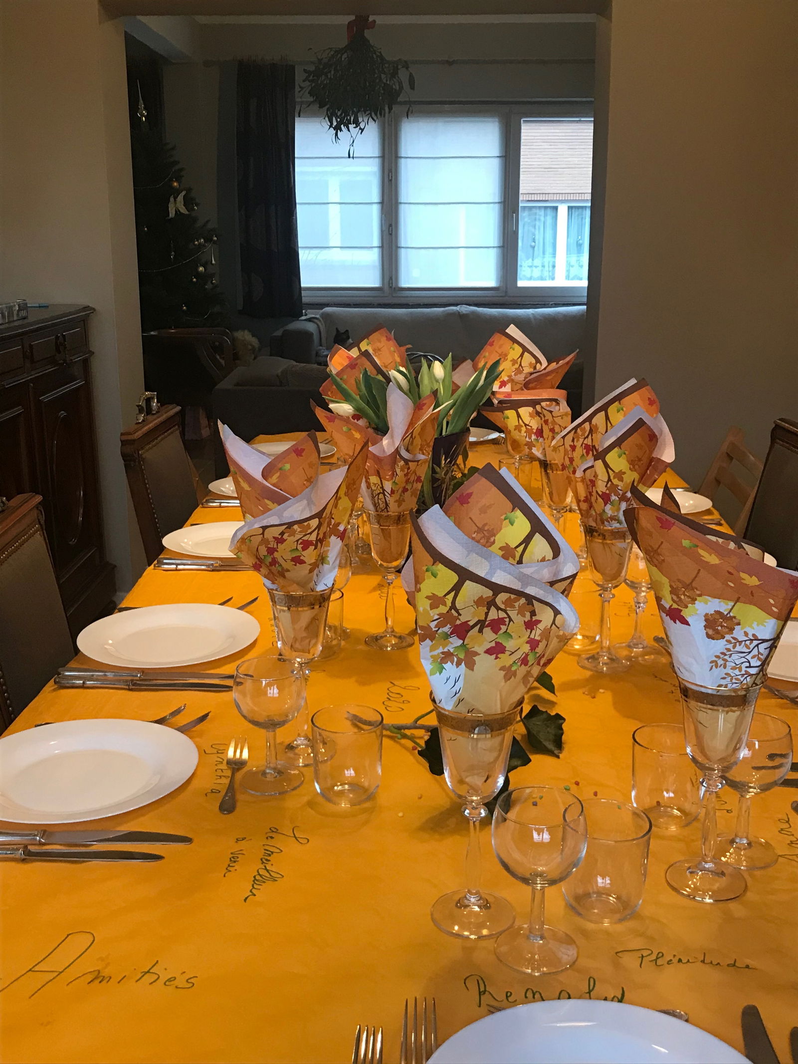 Kolokasie Anderlecht 249641