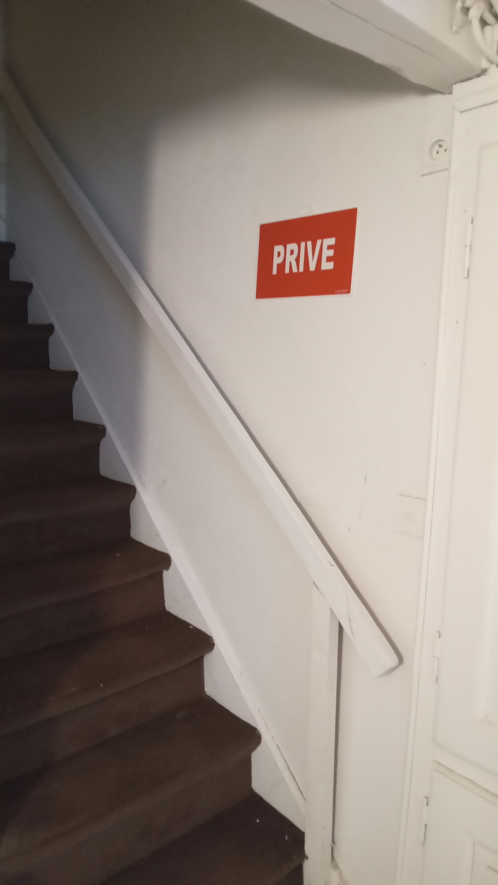 Coliving Bruxelles 475129