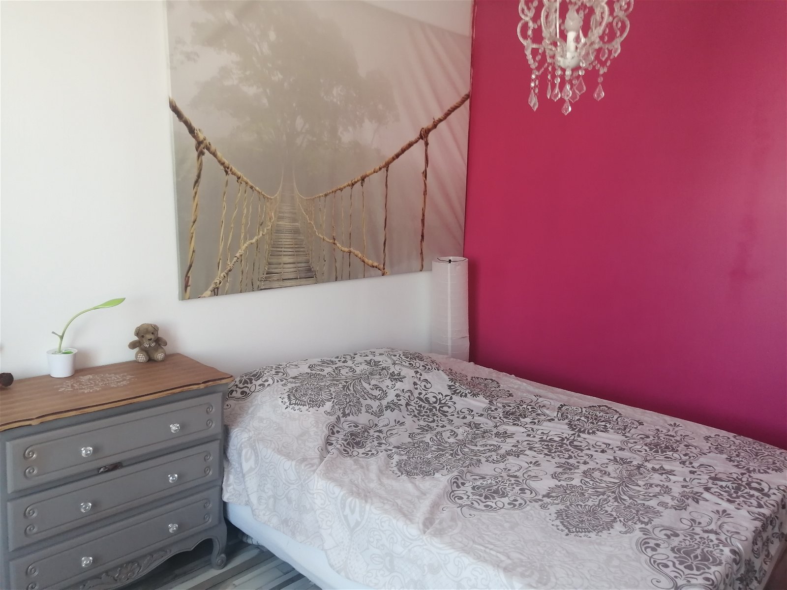 Colocation Nice 240590