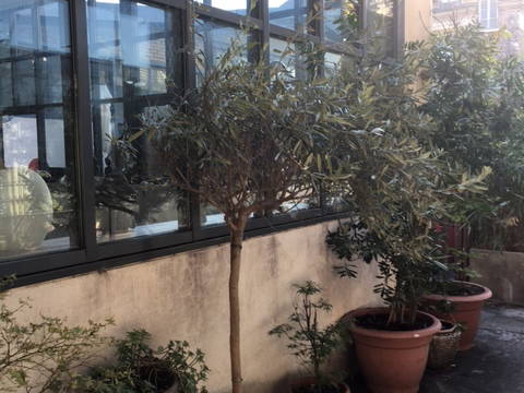 Homestay Argenteuil 148561-4